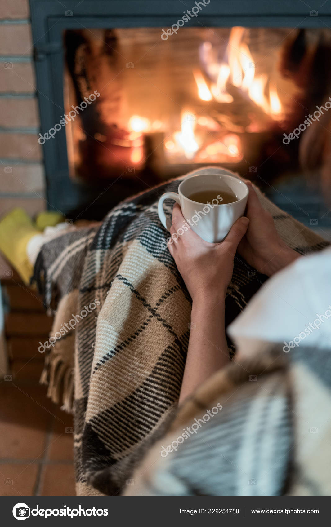 Fireplace With Flame And Glass Door In Comfort House Stock Photo