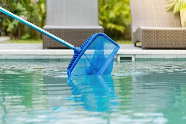 Limpieza de la piscina de hojas caídas con equipo de red skimmer —  Fotos de Stock