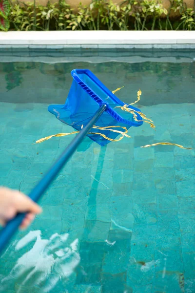 Hænder med skimmer netto udstyr rengøring swimmingpool - Stock-foto