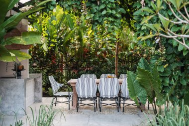 Modern yemek masası ve seradaki güzel açık mutfak sandalyeleri arka plandaki doğal taze ve yeşil bitkilere karşı.