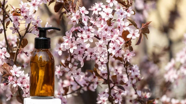 Tavaszi Gyógynövények Természetes Szépség Koncepció Panorámás Kilátás Organikus Kozmetikumok Üveg — Stock Fotó