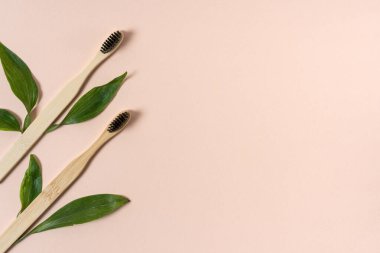 İki adet geri dönüştürülmüş bambu diş fırçası, pastel pembe arka planda izole edilmiş ve fotokopi alanı olan yaprakların yanında duruyordu. Yeşil, çevre dostu ve sürdürülebilir yaşam tarzı kavramı