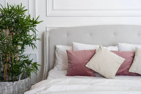 Мягкая Уютная Кровать Современной Спальне Мягкими Подушками Одеялом Зеленым Растением — стоковое фото