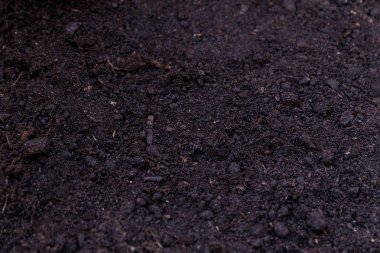 Doku toprak veya yukarıdan görülen, en iyi görünümü arka plan