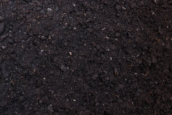 Soil texture or background seen from above, top view — Stock Photo, Image