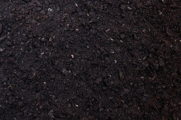 Soil texture or background seen from above, top view — Stock Photo, Image