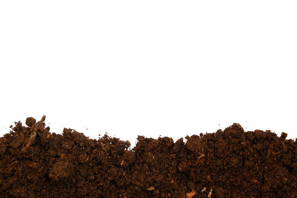 Soil texture isolated on white background seen from above, top v