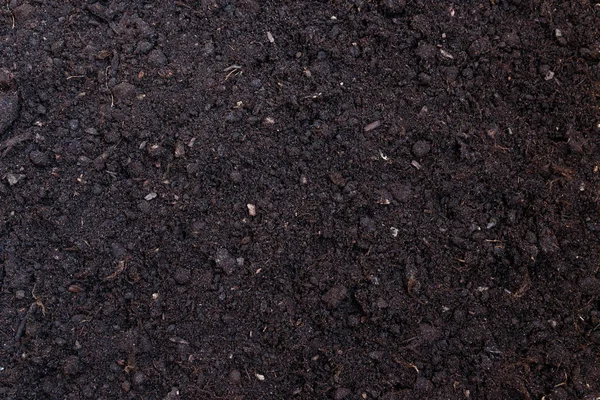 Soil texture or background seen from above, top view — Stock Photo, Image