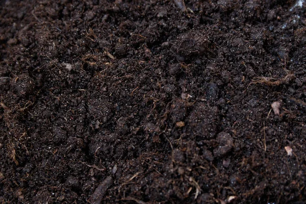 Soil texture or background seen from above, top view — Stock Photo, Image