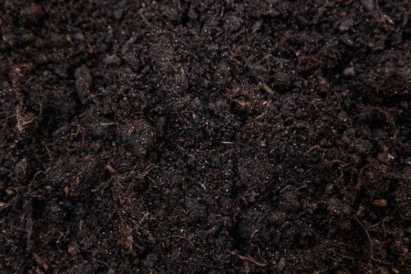 Soil texture or background seen from above, top view — Stock Photo, Image