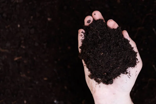 Hombre agricultor sosteniendo tierra. Día de la Tierra y concepto de ecología — Foto de Stock