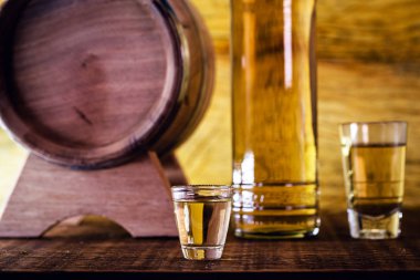 Hand holding glass of alcoholic drinks, cachaça, drips, rum and cognac. Selection of strong and hard alcoholic drinks, glasses. Vodka, cognac, whiskey, grappa, liqueur, vermouth, tincture, rum.