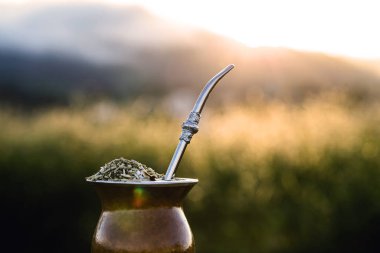 Gaucho yerba mate tea, tipik Brezilya içeceği, geleneksel olarak bir cuiade bombilla sopa kabağında ahşap arka planda. Rio Grande do Sul, Gauchos 'un en sevdiği içecek.