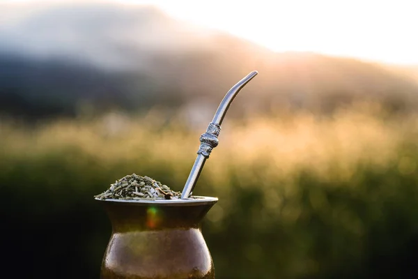 Gaucho yerba mate tea, tipik Brezilya içeceği, geleneksel olarak bir cuiade bombilla sopa kabağında ahşap arka planda. Rio Grande do Sul, Gauchos 'un en sevdiği içecek.