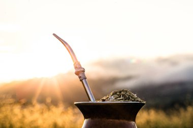 Chimarrão, traditional yerba mate tea from the state of Rio Grande do Sul. Selective focus. Typical drink with Serra Gaucha in the background.