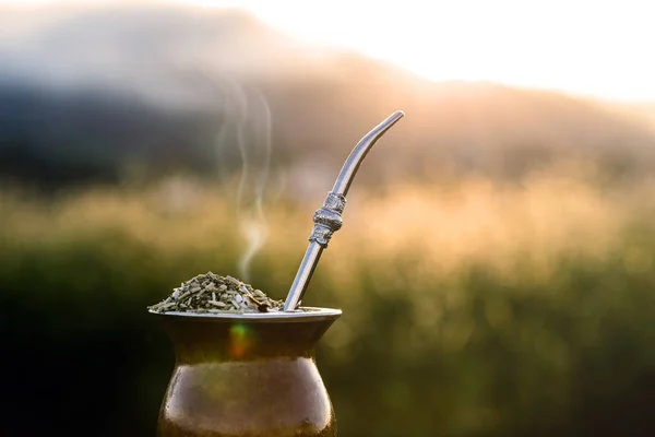 Chimarrão, traditional yerba mate tea from the state of Rio Grande do Sul. Selective focus. Typical drink with Serra Gaucha in the background. — Stock Photo, Image