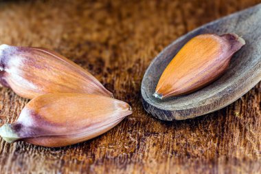 Köy tahtasında çam fıstığı tohumu. Brezilya mutfağı, kışın ve haziran partilerinde tüketildi.