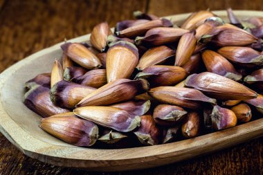 Köy tahtasında çam fıstığı tohumu. Brezilya mutfağı, kışın ve haziran partilerinde tüketildi.
