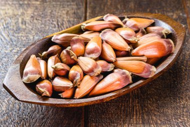 İçinde Pinho tohumları, egzotik yemekler, kış yemekleri olan küçük bir kâse.