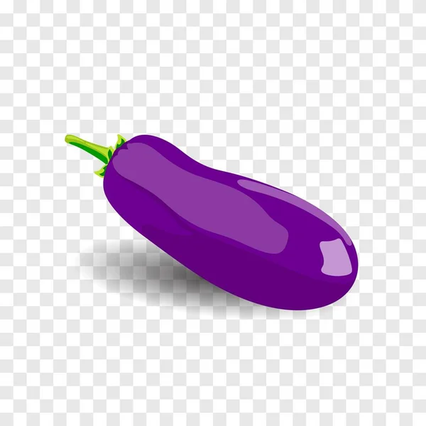 Bright delicious eggplant — Stock Vector