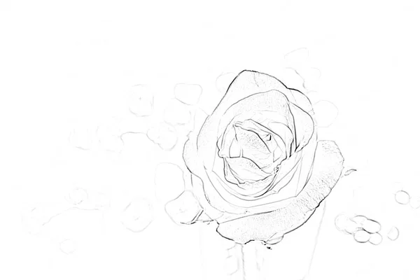 Rosa línea de forma de fondo de amor blanco y negro — Foto de Stock