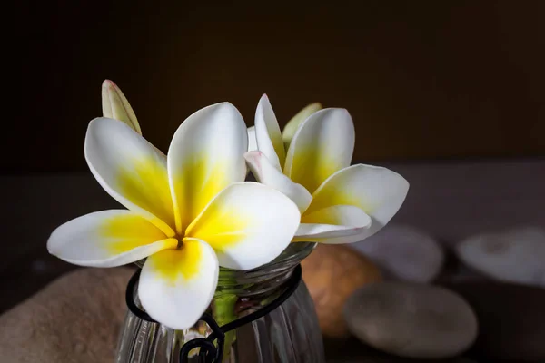 Květiny žluté bílé plumeria nebo keře v skleněná váza — Stock fotografie
