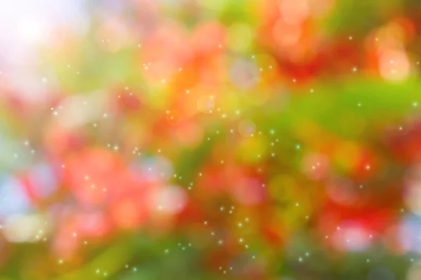 柔らかい黄色ピンク オレンジ色ボケ味甘い花夏夏の背景 — ストック写真