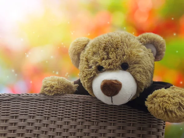 Słodkie niedźwiedź brunatny lalka dar koszyka na romantyczny bokeh słodkiej miłości — Zdjęcie stockowe