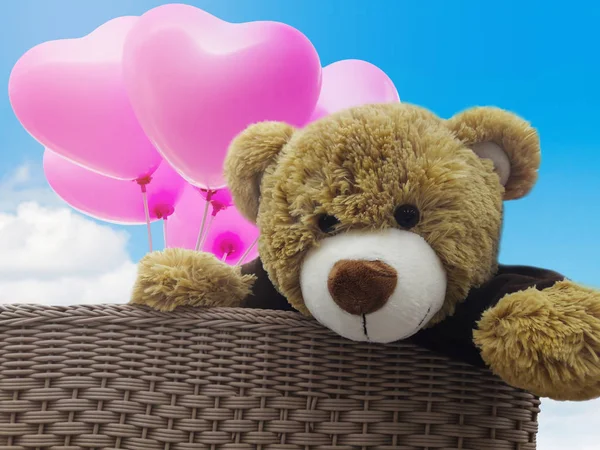 Słodkie niedźwiedź brunatny lalka dar koszyka z różowy balon i niebieski s — Zdjęcie stockowe