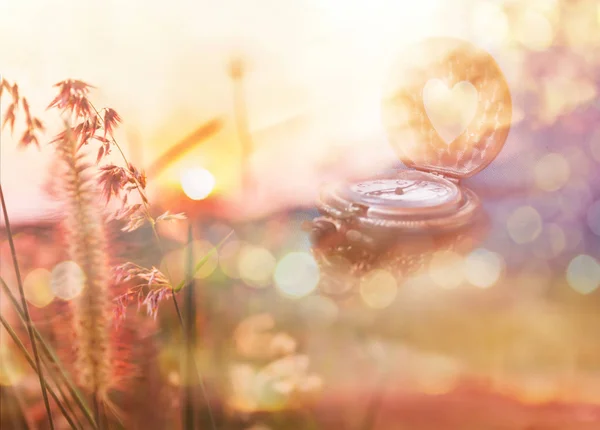 Вінтажний годинник і романтичний вигляд на траву квітка і сонце — стокове фото