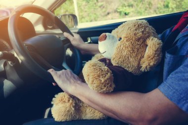 Sevimli ayı birlikte Araba, adam sürüş sırasında tur seyahat arkadaşı Bebek 
