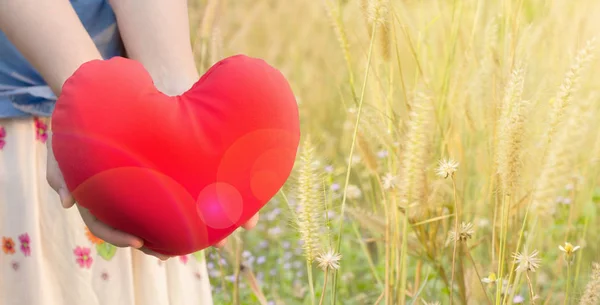 Kvinnor hand försiktigt hålla rött hjärta på vilda gräs blomma sätter tillbaka — Stockfoto