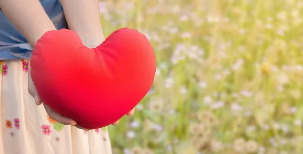 Vrouwen hand zachtjes houd rood hart op wild grasveld terug bloem — Stockfoto