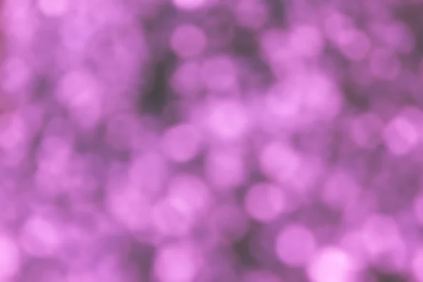 紫バイオレット ピンクの密度の高い柔らかいボケ味の背景 — ストック写真