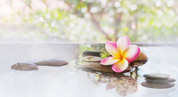 Plumeria ou frangipani sobre água e pedra de seixo — Fotografia de Stock