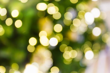Bokeh yeşil ve sarı ışık arka plan Xmas için