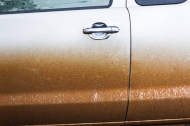 Kupa ve toz kapağı, kirli veya kirli araba rainny s