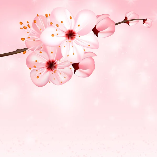 Frühling Hintergrund mit rosa Blüten Blumen. Vektor 3D Illustration. schönes frühlingshaftes Blumenbanner, Plakat, Flyer. Frühlingsblühender Apfelbaum. Nahaufnahme von Zweig, Blütenblatt über Rosenbokeh-Hintergrund. — Stockvektor