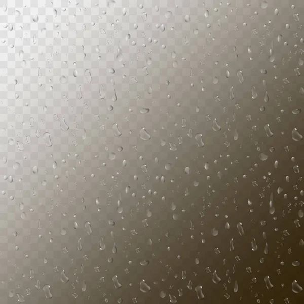 Gotas de agua aisladas sobre fondo transparente. Ilustración vectorial realista. Burbujas 3D en la superficie de cristal de la ventana — Vector de stock