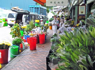 Çiçek pazarı Hong Kong 