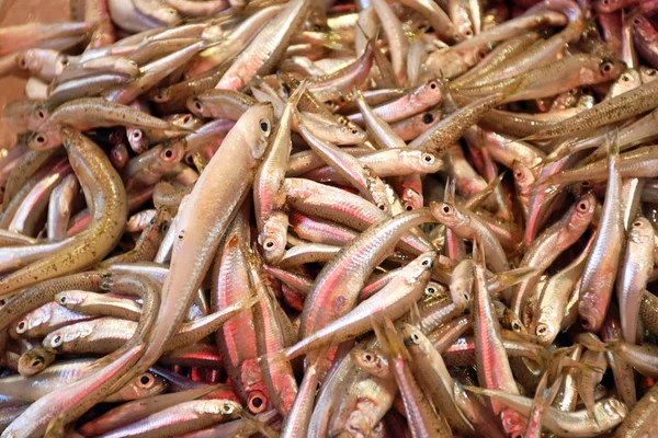 Muitos peixes minúsculos estão à venda em uma barraca de mercado em Creta (Grécia ) — Fotografia de Stock