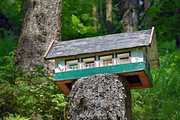 Kis miniatűr ház elfűrészelt fatörzsek az erdő — Stock Fotó