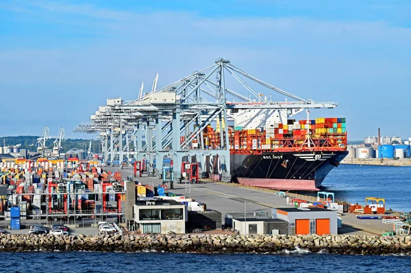 Containerschiff msc ingy hat im Hafen von aarhus (Dänemark) angelegt) — Stockfoto