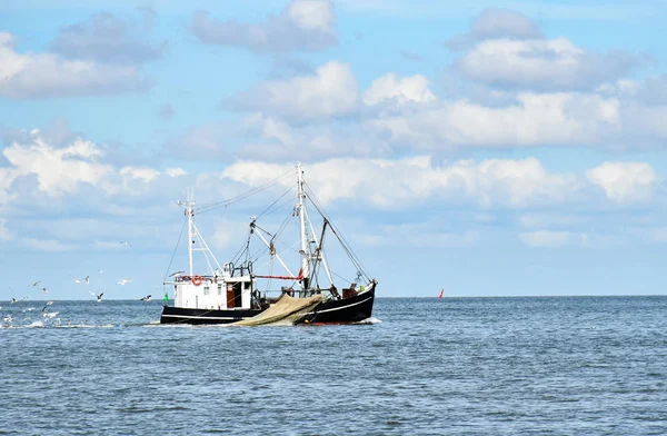 Pesca Mar Del Norte Cerca Bsum Frisia Del Norte Alemania — Foto de Stock