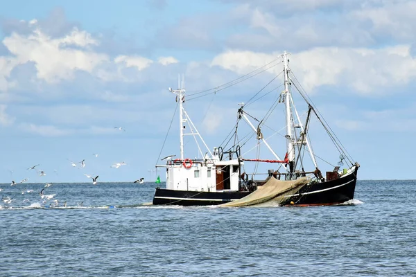 Pesca Mar Del Norte Cerca Busum Frisia Del Norte Alemania — Foto de Stock