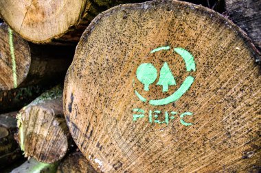 Sachsenburg, Almanya - 19 Haziran 2016: PEFC logosuyla işaretlenmiş bir ağaç gövdesi. Ormanı Onaylama Programı (İngilizce: 