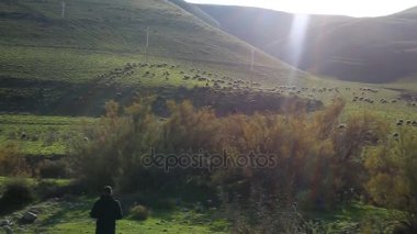 Çok güzel bir sabah sisli orman manzara içinde yalnız bir adam yürüyüş.