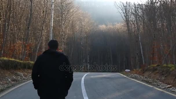 Promenerar man ensam i vacker morgon dimmigt skogslandskapet. — Stockvideo