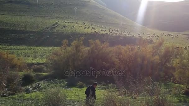 Çok güzel bir sabah sisli orman manzara içinde yalnız bir adam yürüyüş. — Stok video