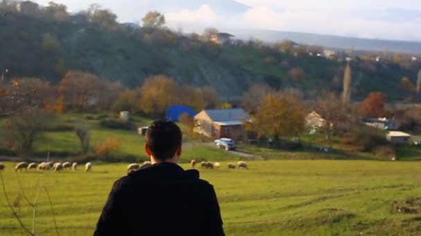 Promenerar man ensam i vacker morgon dimmigt skogslandskapet. — Stockvideo